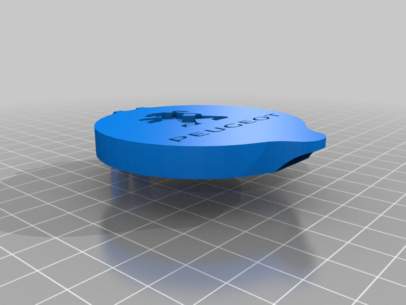 Peugeot 207 water container cover