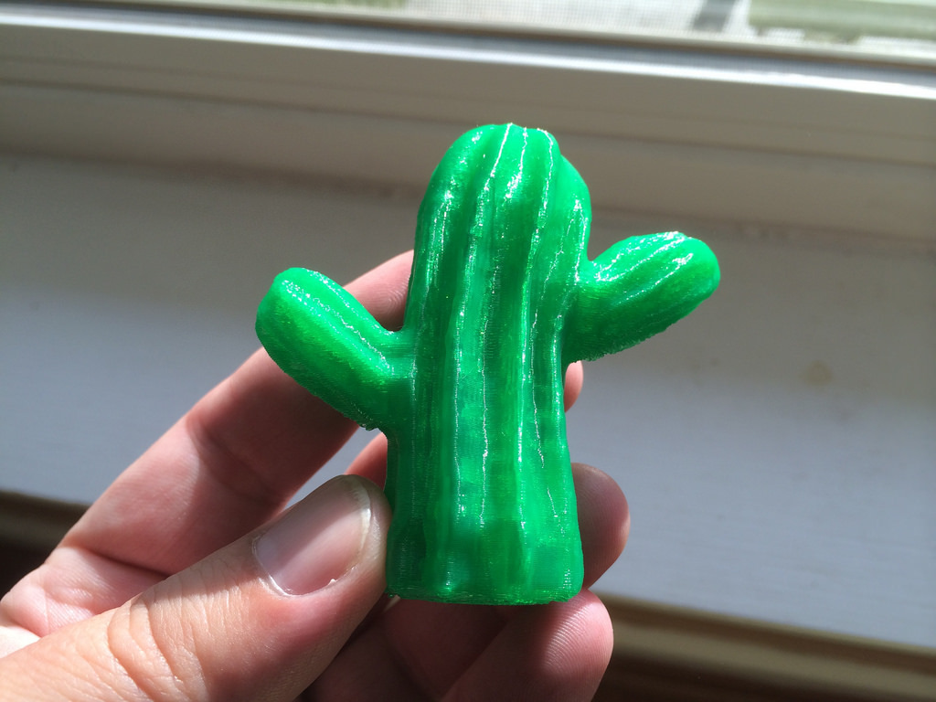 Scanned Cactus