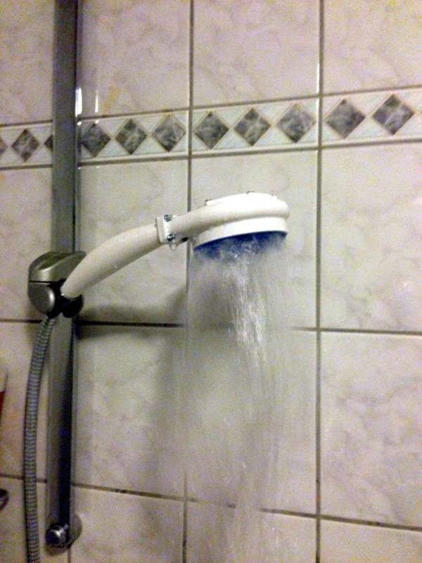 Francis Turbine Shower Head