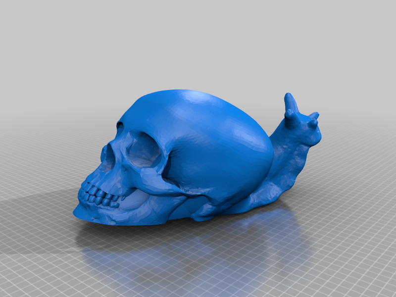 Skull Snail