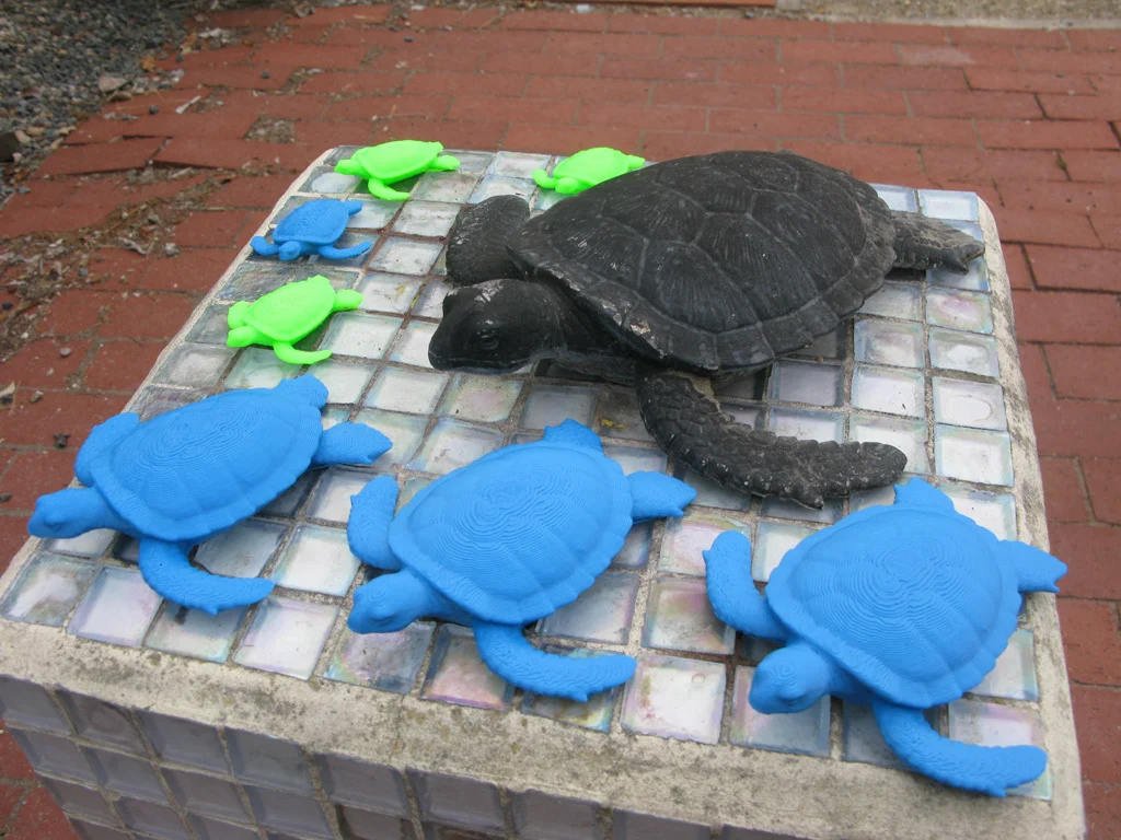 Garden Turtle