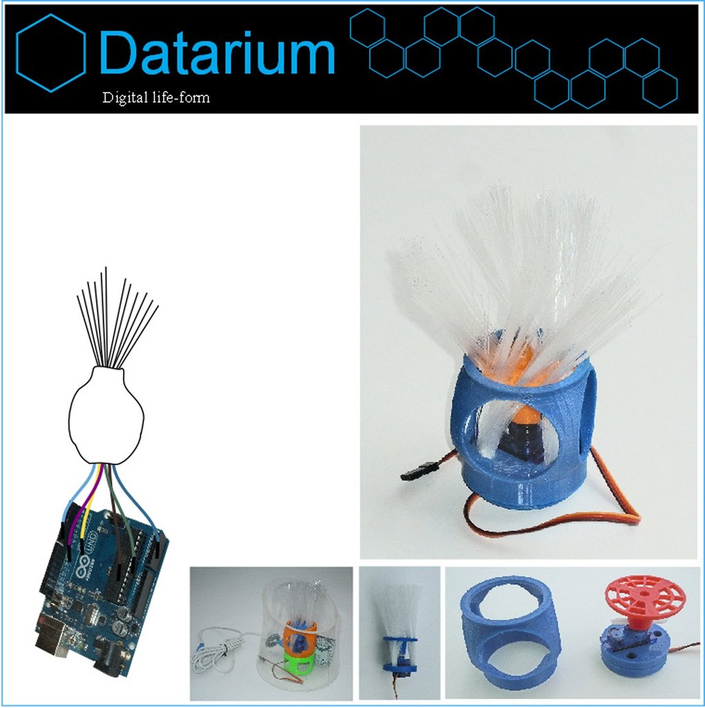 Datarium Pod / Bulb