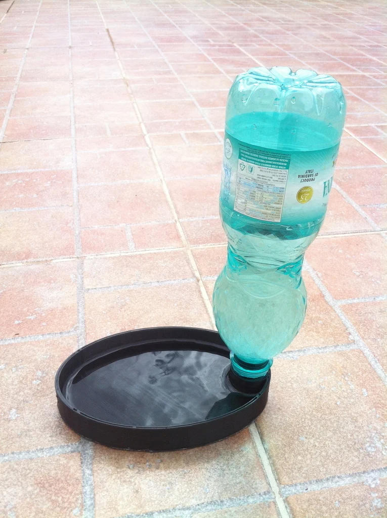 Drinking trough for animals.
