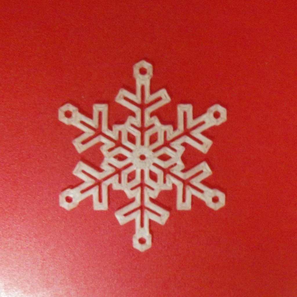 Snow Flake 023