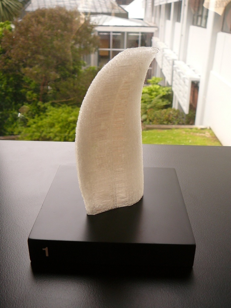 Sperm Whale Tooth