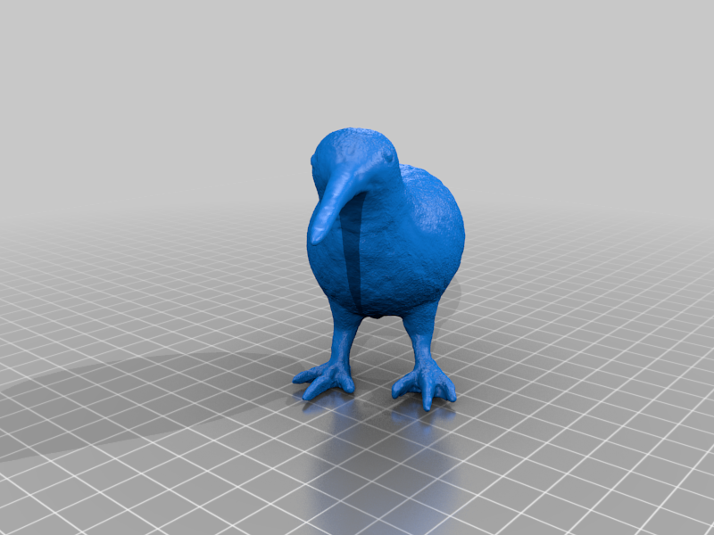 Kiwi - photogrammetry scanned model