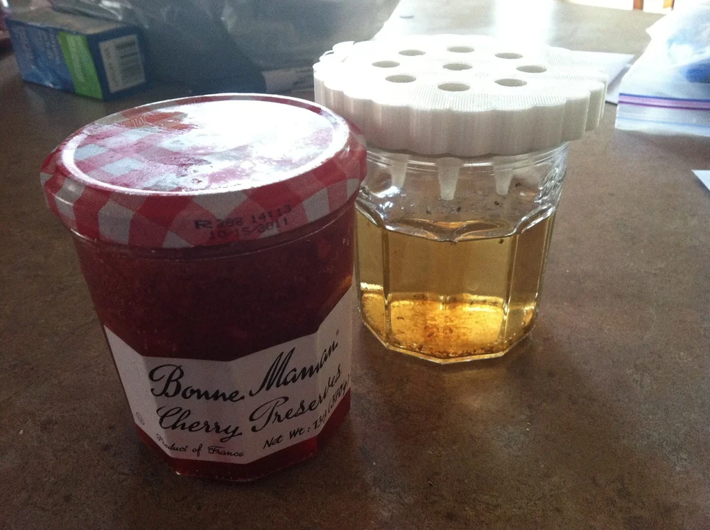 Fruit Fly Trap