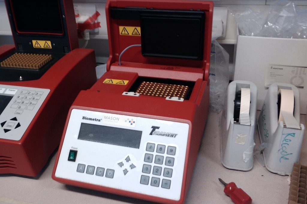 Replacement Tabs for Biometra PCR Machine