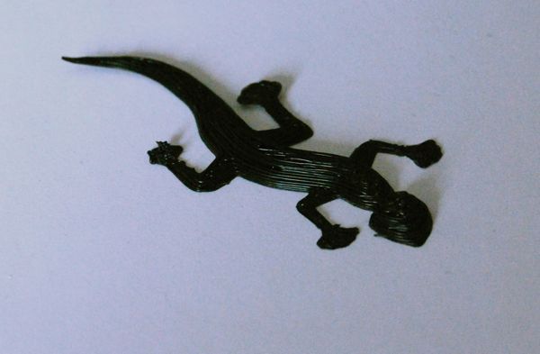 A Gekko
