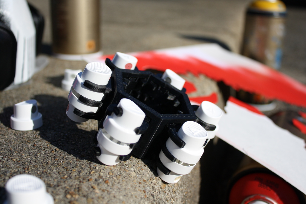 Spray Paint Cap Organizer