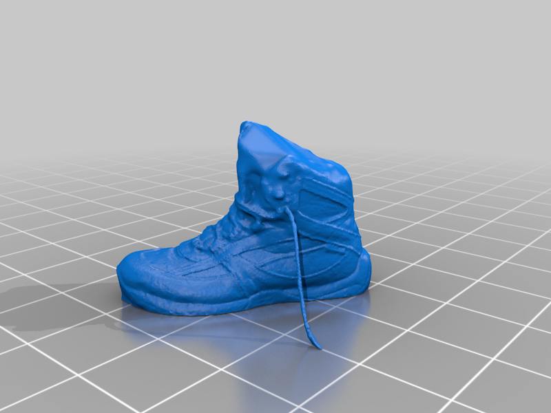 Hiking Boot
