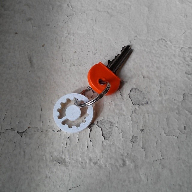 synbio4all keychain
