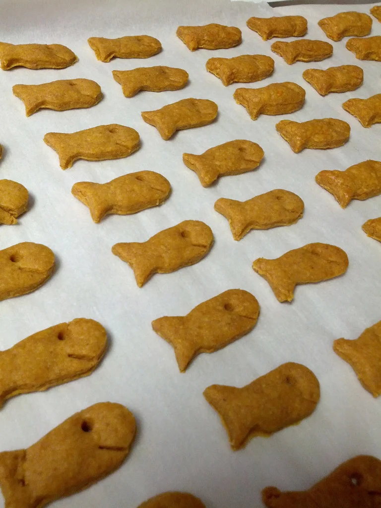 Goldfish cracker cookie cutter
