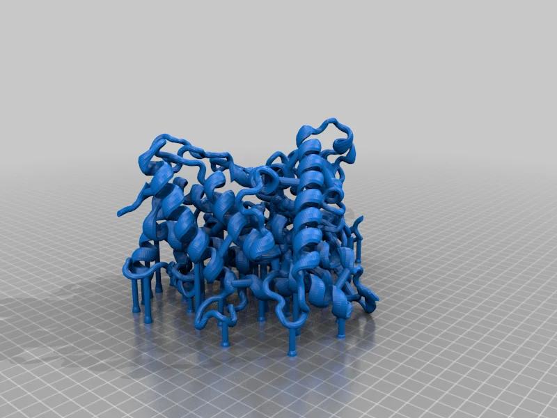 CYP1A2 (Cytochrome P450 1A2)