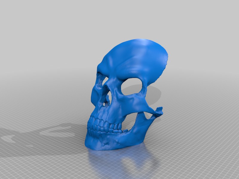 Evil Skull Mask (no supports)
