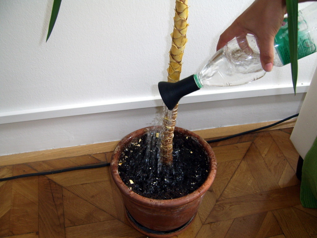 Watering Rose for Plastic Bottle with Threads