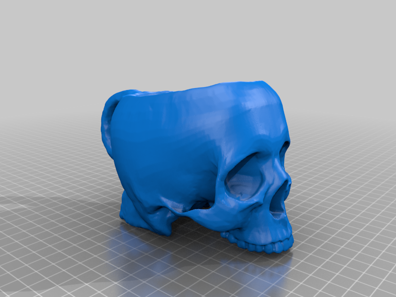 Skull Mug