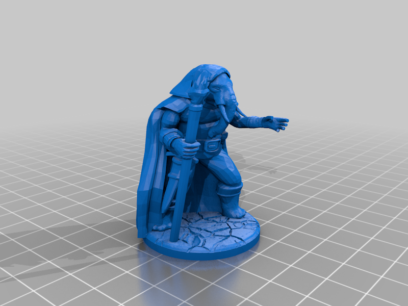 Loxodon Druid/Wizard/Sorcerer