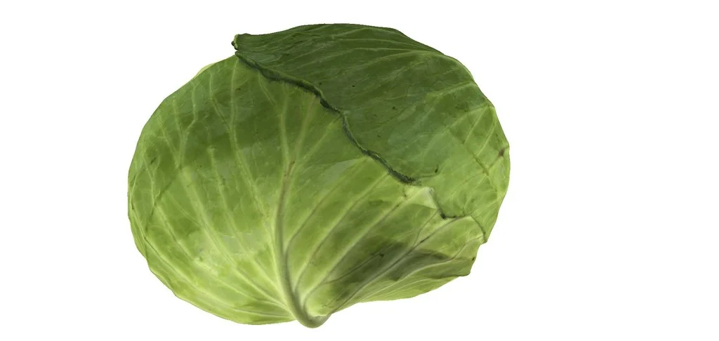 The Cabbage