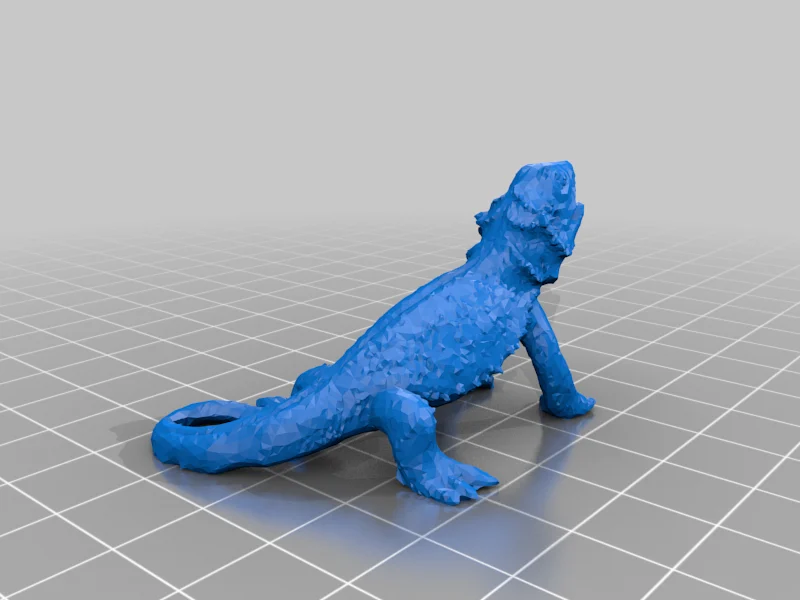 Bearded Dragon!