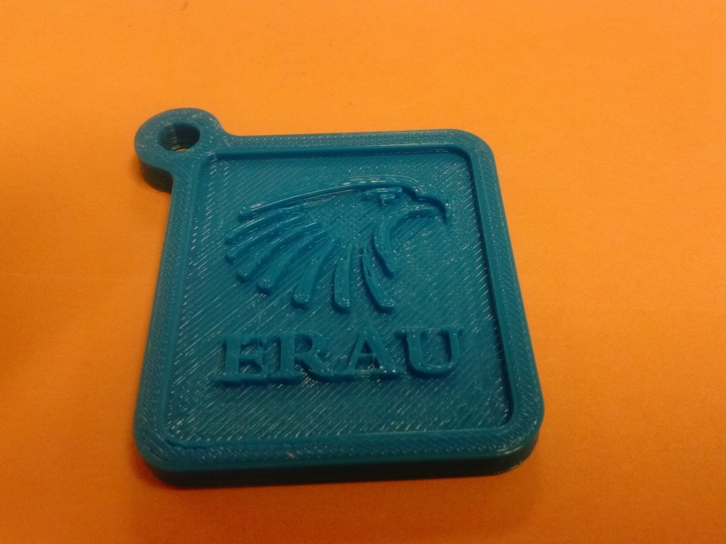 Embry-Riddle logo keychain