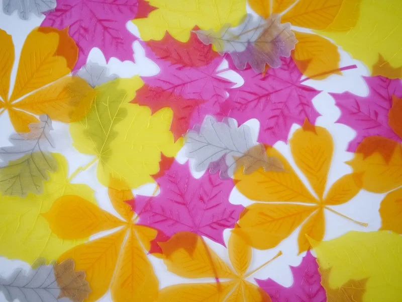 Autumn Leaves