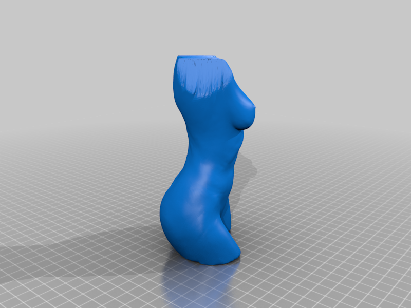 Torso Mujer