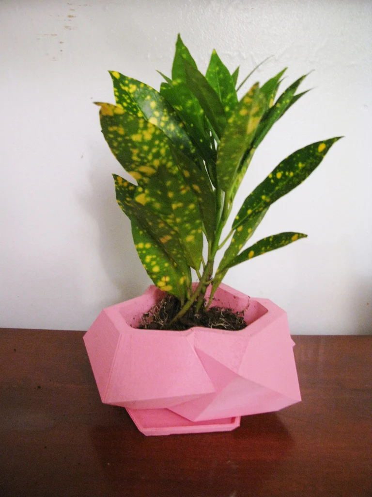 Crystalline Plant Pot