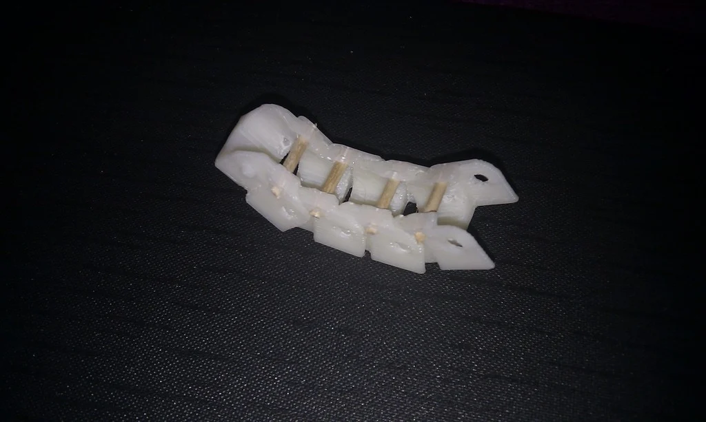 fully parametrical drag chain