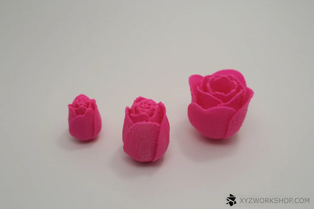 Anniversary Roses