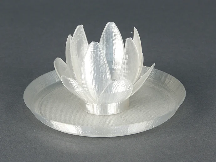 Lotus Flowers