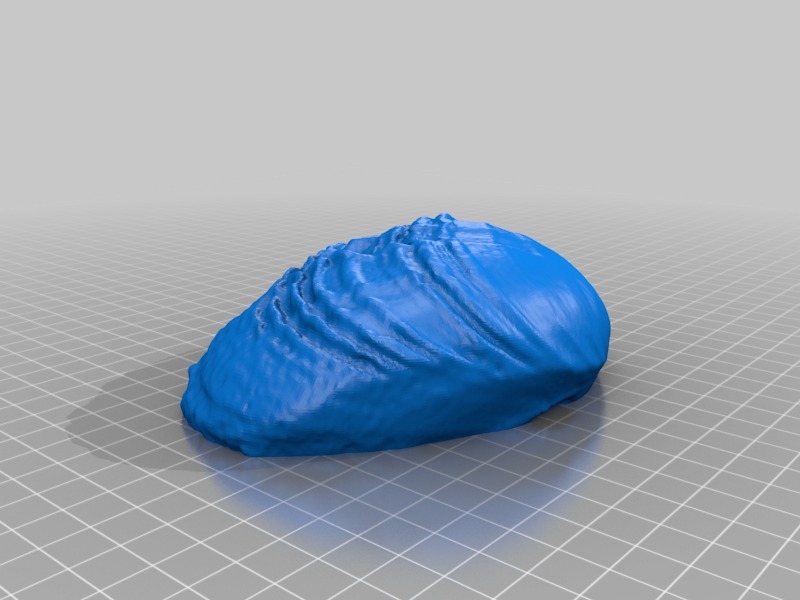 Robust Clam