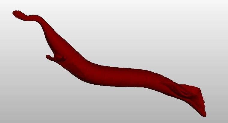 Tully Monster (Tullimonstrum gregarium)--life model, State fossil of Illinois