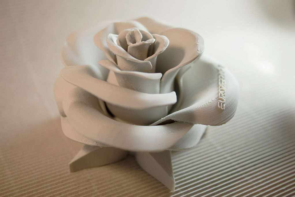 Rose - real flower