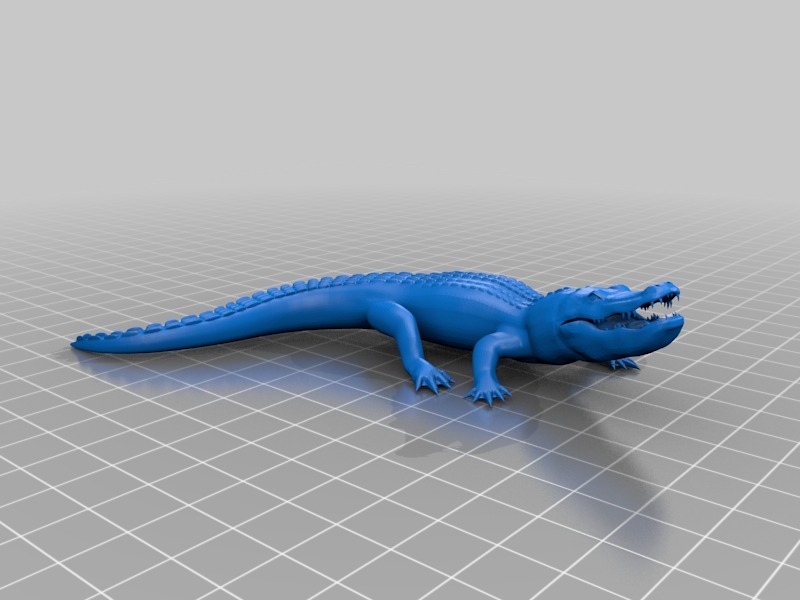 Alligator