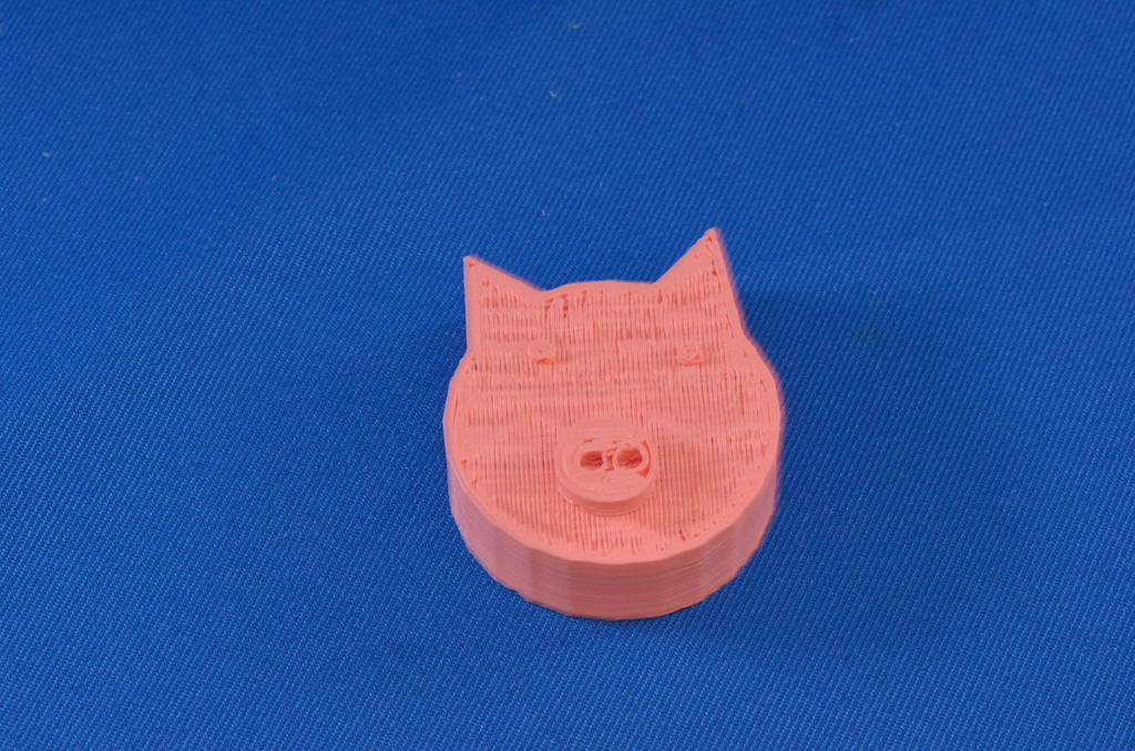 3D Pig
