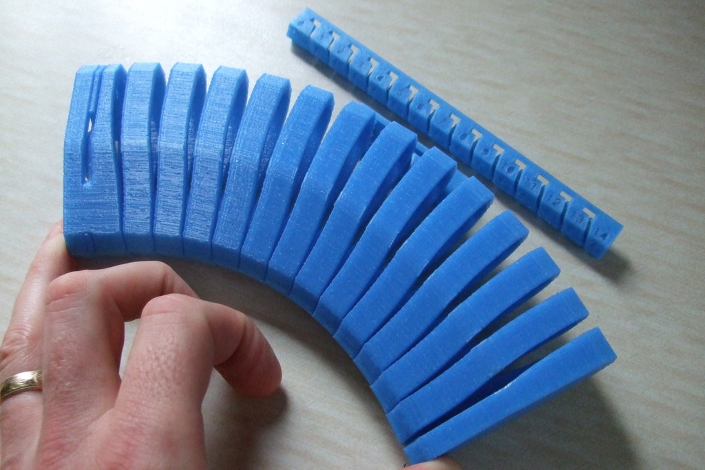 Print in Place FlexiCase