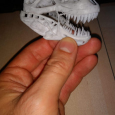 3D Print of Terminator REX