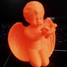 Angel with bird