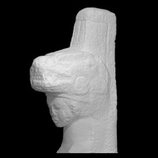 Jaguar Bust