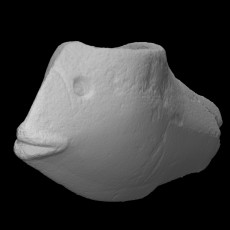 Stone fish effigy pipe