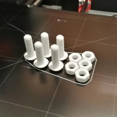 Screw and Nut