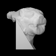 Carved Lion's Head