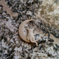 Cat and Moon