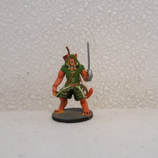 Tabaxi Rogue