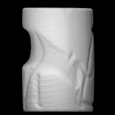 Cylinder seal