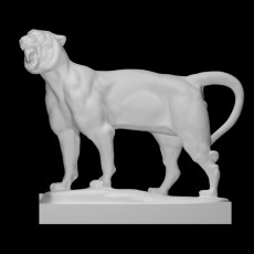 Lion and Tiger