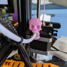 bowden tube clip skull