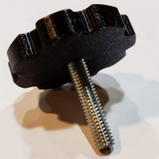 M6 Hex Cap Thumb Screw