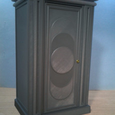 Rani Tardis V1